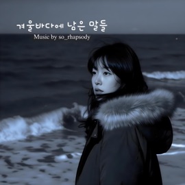 겨울바다에 남은 말들 so_rhapsody