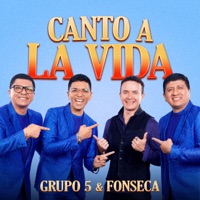 Grupo 5 & Fonseca - Canto a la Vida (En Vivo)
