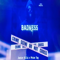 Badness/murder (feat. Junior killa) - Single - Price Tag