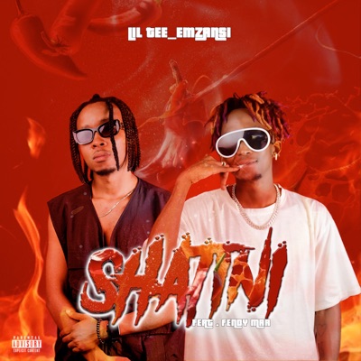 Shatini (feat. Fendy Mar) - Single