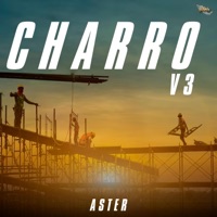 Charro V3 - Single - Aster