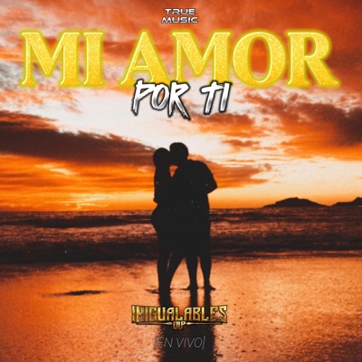 Mi Amor por Ti - Single