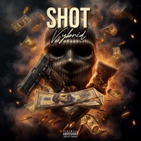 Shot - Single - Vybrid