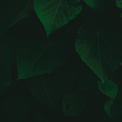 fall apart beautifully - EP