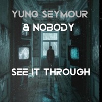 See it through (feat. Nobody) - Single - Yung Seymour