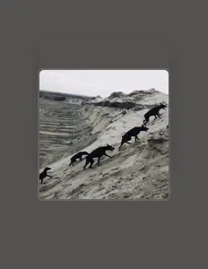 Escucha a Лия, mira videos musicales, lee su biografía, consulta las fechas de las gira y más.