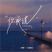 你说谎 - Single - 九姨太