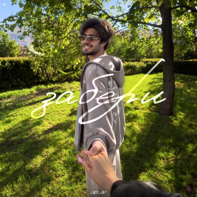 Забери - Single