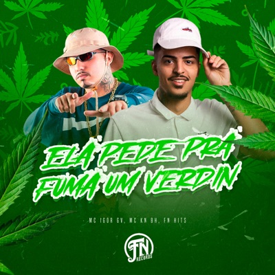 Ela Pede pra Fumar um Verdin - Single