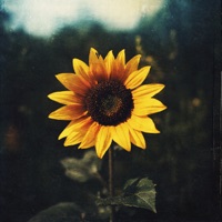 Mezzanine Echo - Single - Korey Wade