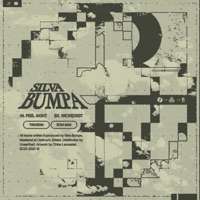 Feel Aight/Wickedest - Single - Silva Bumpa