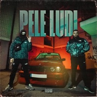 Pele ludi - Single - Tolegenda