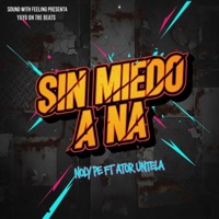 SIN MIEDO A NA (feat. Ator Untela) - Single - NolyPe