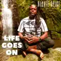 Life Goes On 