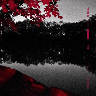 <3:33. TO BLOOM. - Single