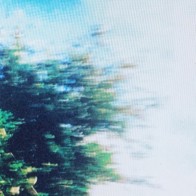 Falling forward - Single