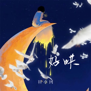 好哄 - Single