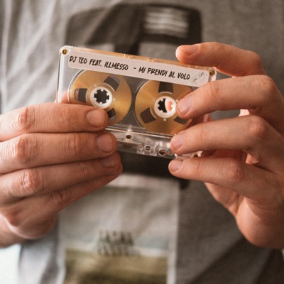 Mi prendi al volo (feat. Illmesso) - Single