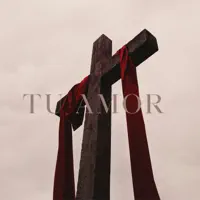 Tu Amor — Aneudy Abreu