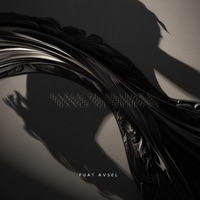 Dance of Shadows (Radio Edit) - Single - Fuat Avsel