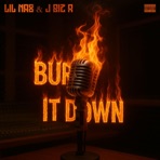 Burn It Down - Single