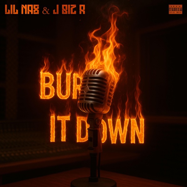 Cover of Burn It Down - Single