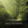 L'Aube Dans la Forêt