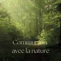 L'Aube Dans la Forêt