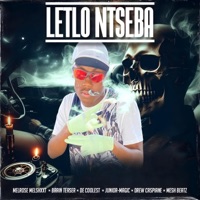 LETLO NTSEBA (feat. BRAIN TEASER, JUNİOR-MAGIC, DREW CASPIANE, MESH BEATZ & DE-COOLEST) - Single - MELROSE MELSHXXT