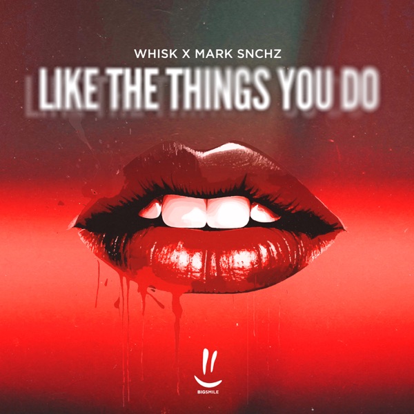 Like The Things You Do - Single