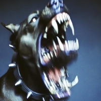 War Dogs (feat. NiveK) - Single - Xdtdx