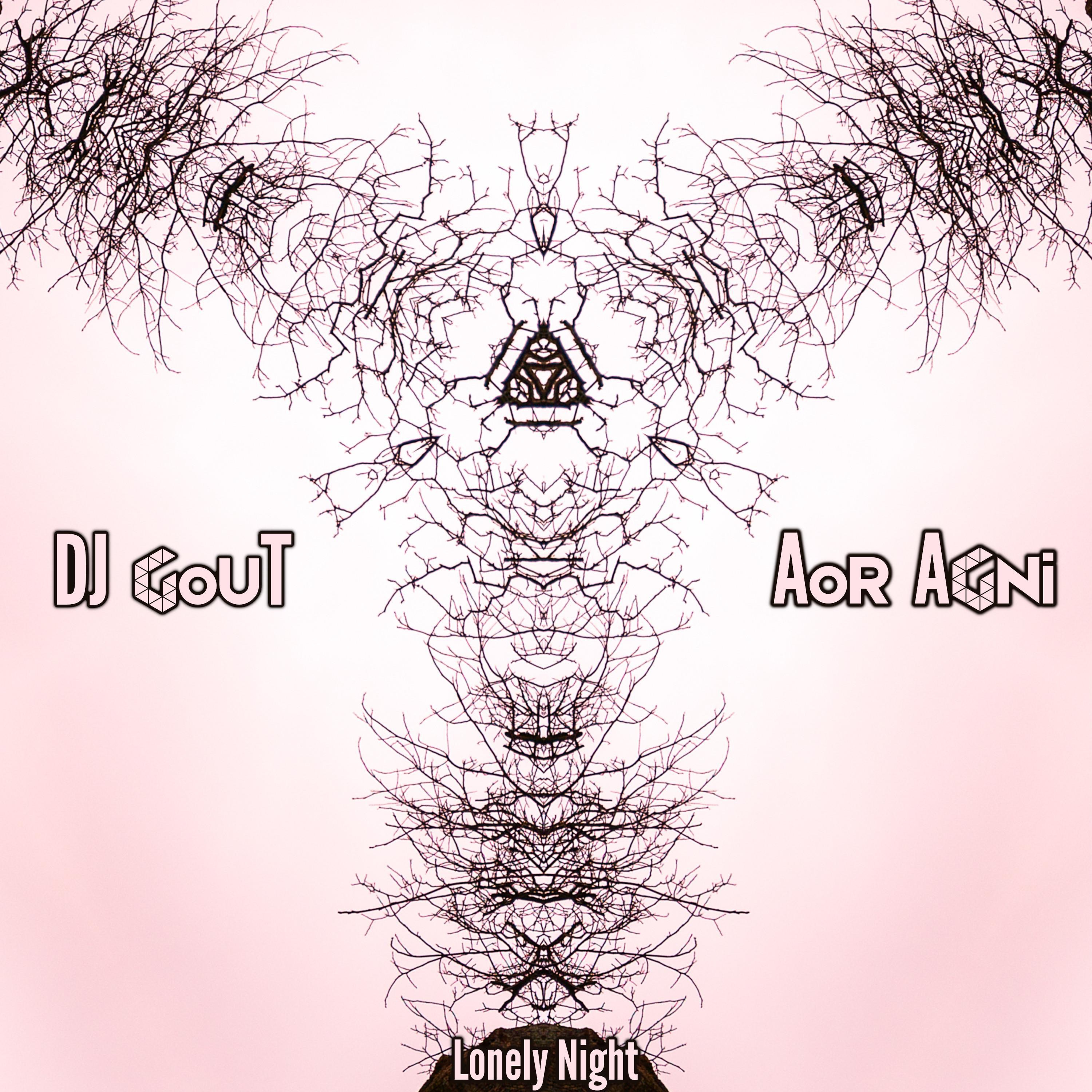 Lonely Night (feat. DJ Gout)