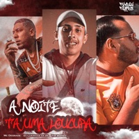 A Noite Ta uma Loucura - Single - DJ Lukinhas da Zs, Tiw Bomba & MC DEGRADE