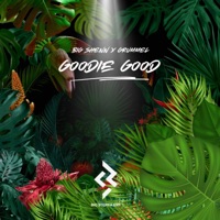 Goodie Good - Single - Big Shenn