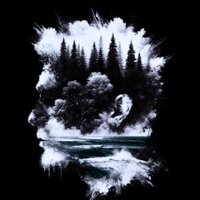 You're Just Dreaming - Single - jmsg.