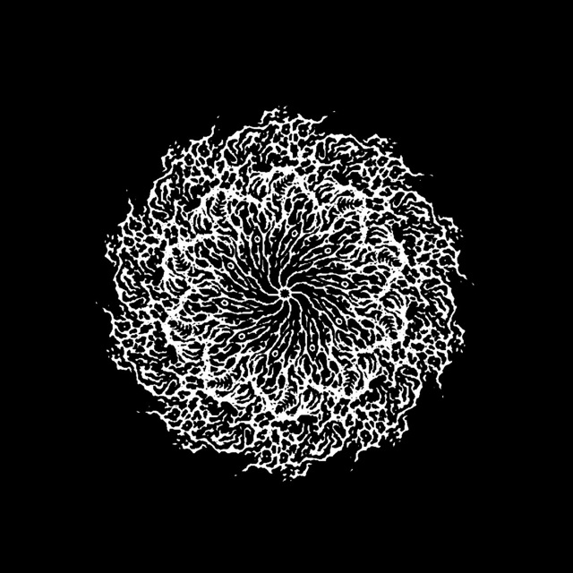 Seer - Single