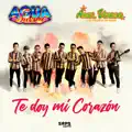 Te Doy Mi Corazón