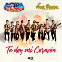 TE DOY MI CORAZON