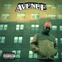 FORTUNE FAVORS RISK - AvenueBLVD & Grubby Pawz