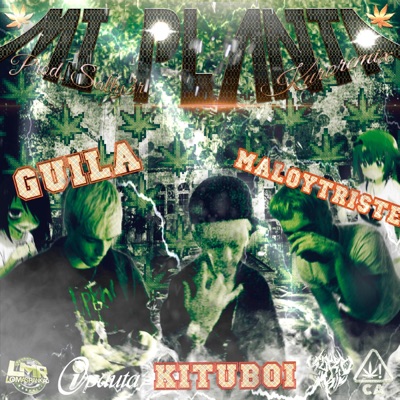 MI PLANTA (KUROREMIX) - Single