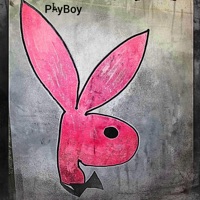 PlayBoy (feat. DankHomieN8, Twelve G & DH Skooby) - Single - PB.