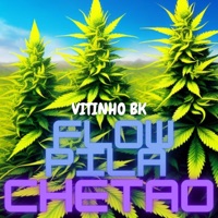 FLOW PILA CHETAO - Single - Vitinho Bk