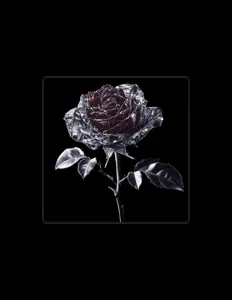 Ruby Darkroseを聴いたり、ミュージックビデオを鑑賞したり、経歴やツアー日程などを確認したりしましょう！