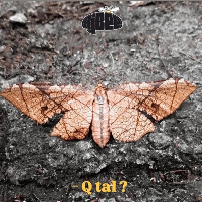 Q tal? (Versión acústica) - Single