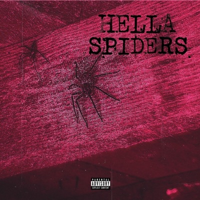 HELLA SPIDERS