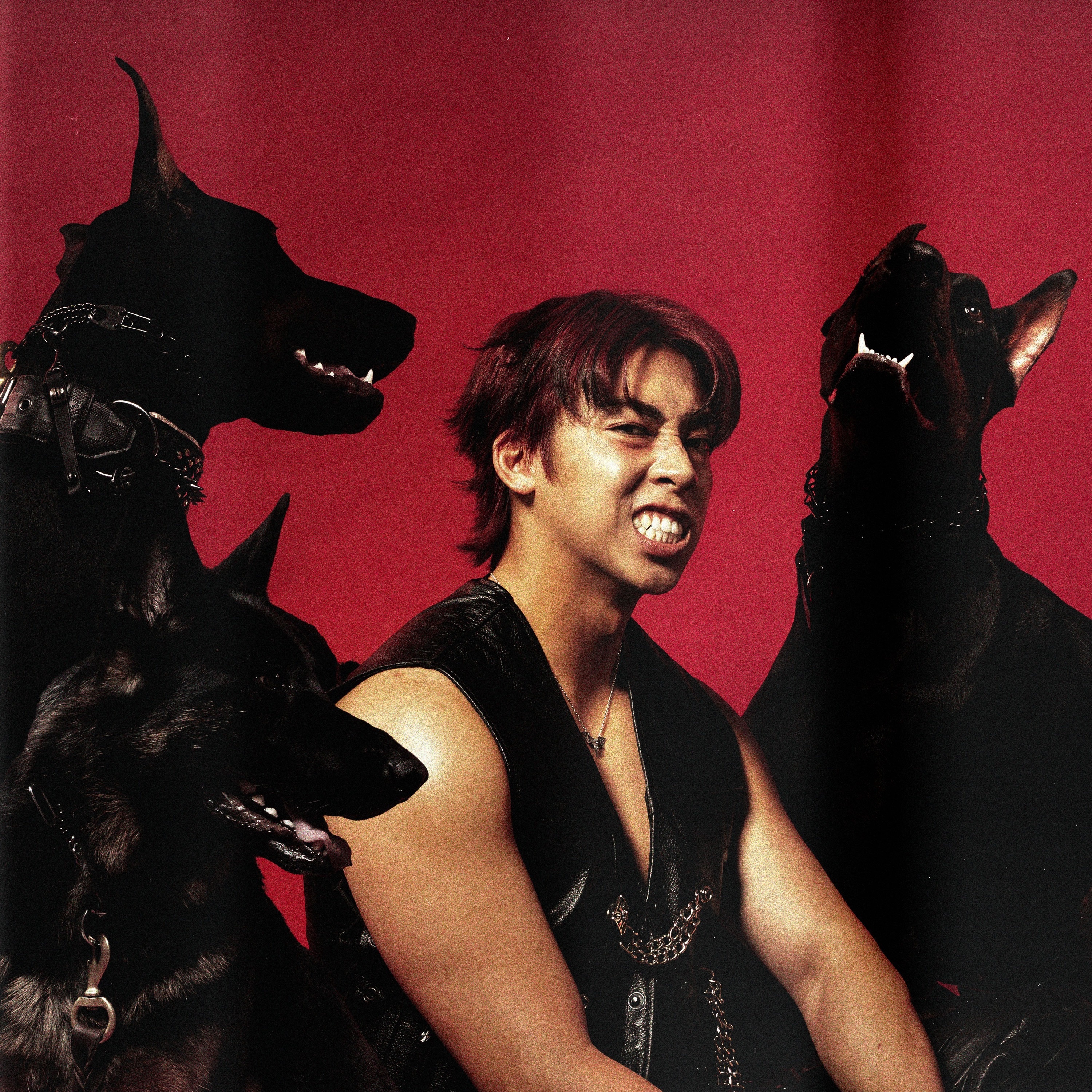 HOUNDSOFHELL - Single