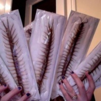 ima do this over (feat. DJ SILOVATELJ, 2shiloh & hacksawssurgery) - Single - DJ CIGAN EXLUSIVES