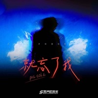 就忘了我 - Single - Big Cole