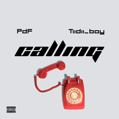 Calling (feat. Tiidii_boy) - Single