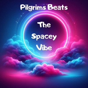 Pilgrims Beats - The Spacey Vibe 8